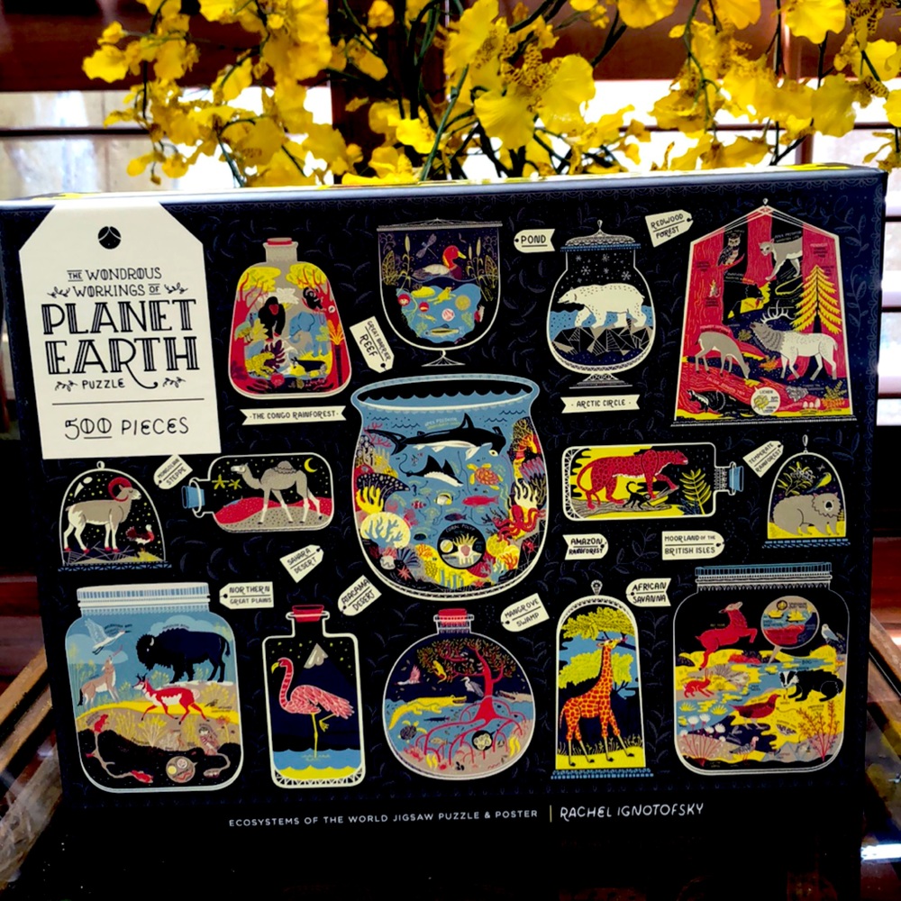 🌍 Planet Earth 🌎 Ecosystems of the World Puzzle